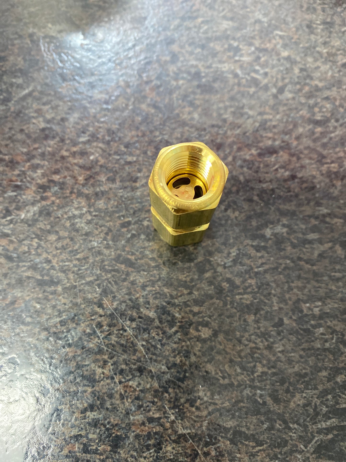 Baren-BRASS CHECK VALVE 1/4" FPT I/O, 1200PSI