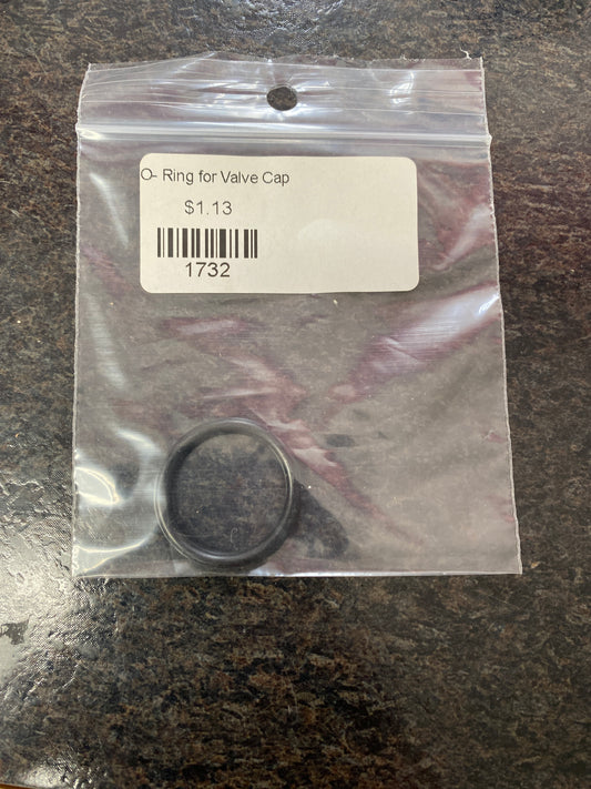 Baren-701002 O-RING VALVE CAP (OLD 90384700)